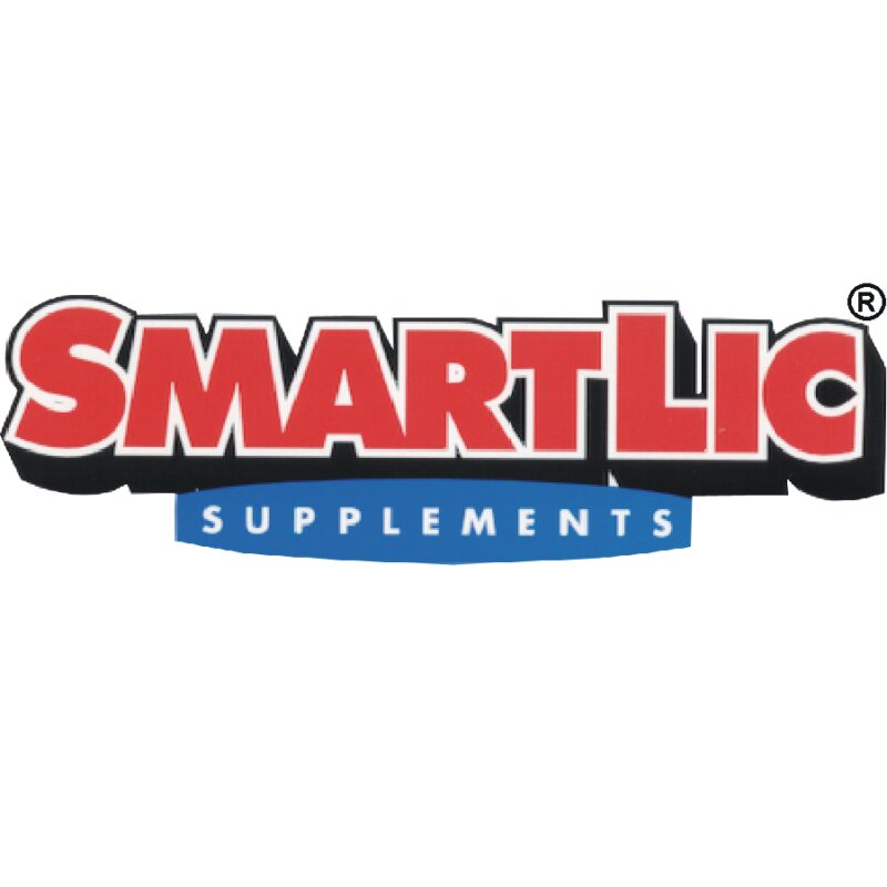 SmartLic